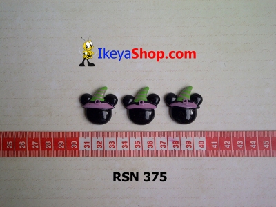 rsn 375  large2